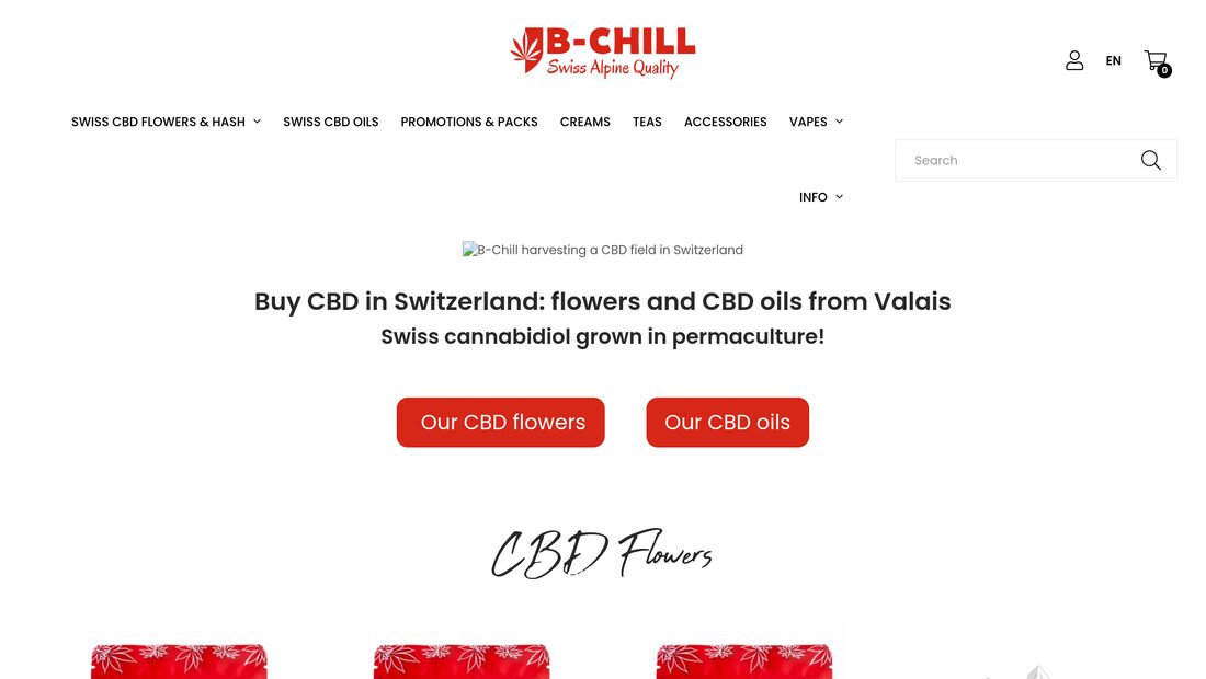 Aperçu du site B-Chill