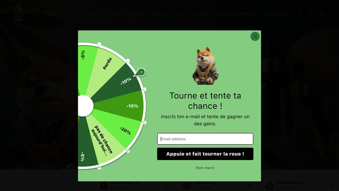 Aperçu du site CBzen