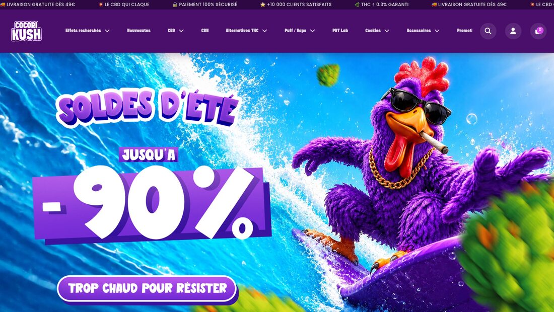 Aperçu du site Cocorikush