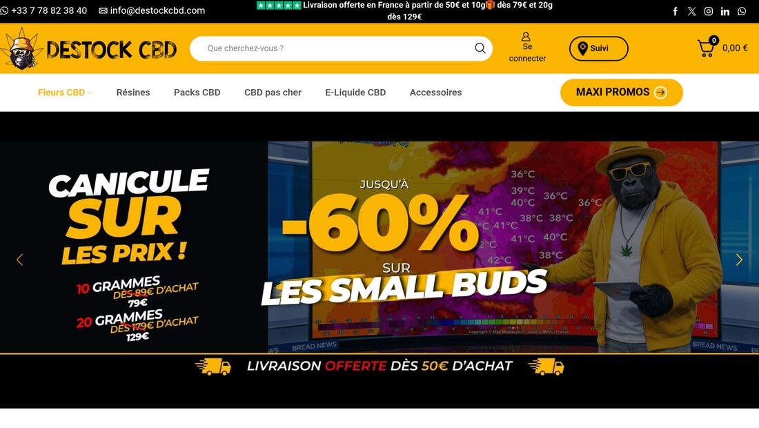 Aperçu du site Destock CBD