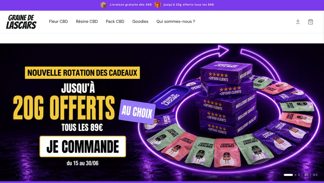 Aperçu du site Graine de Lascars