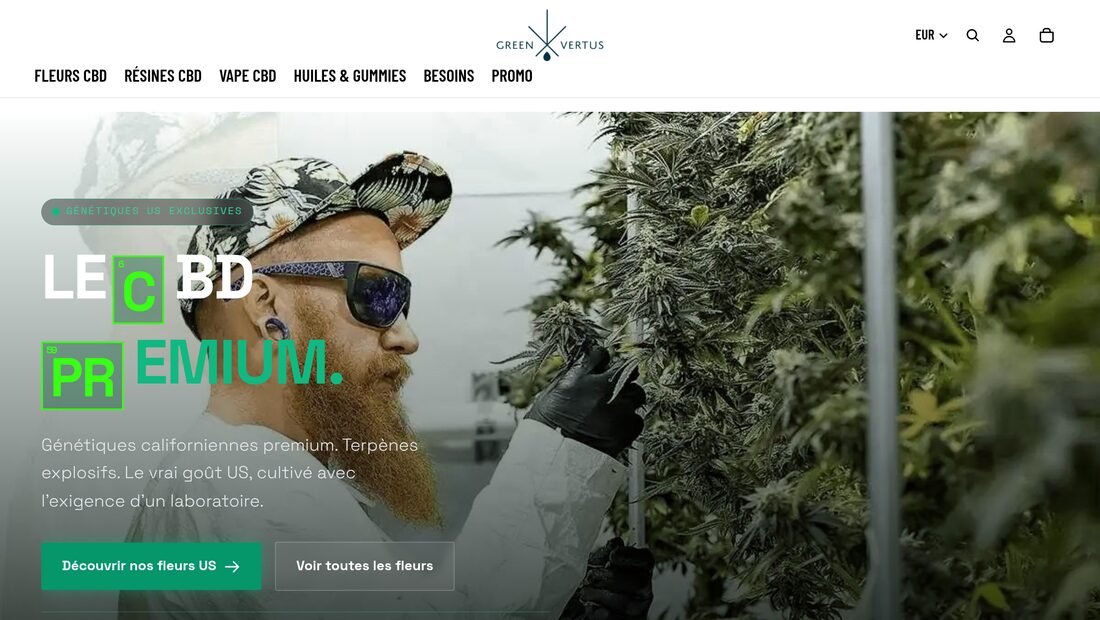 Aperçu du site GreenVertus