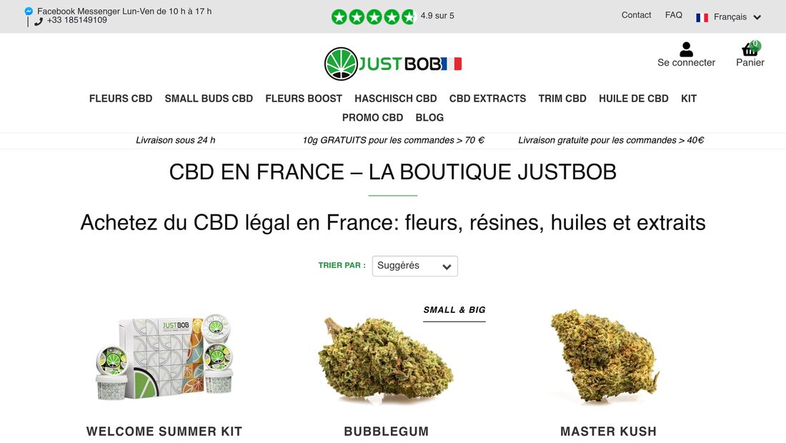 Aperçu du site JustBob