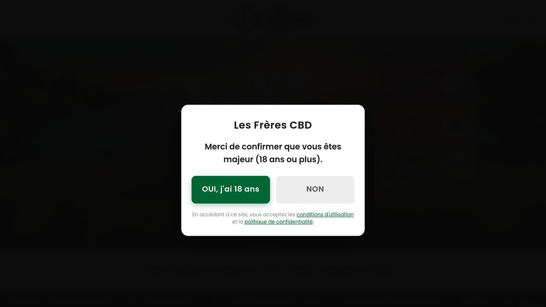 Aperçu du site Les Frères CBD
