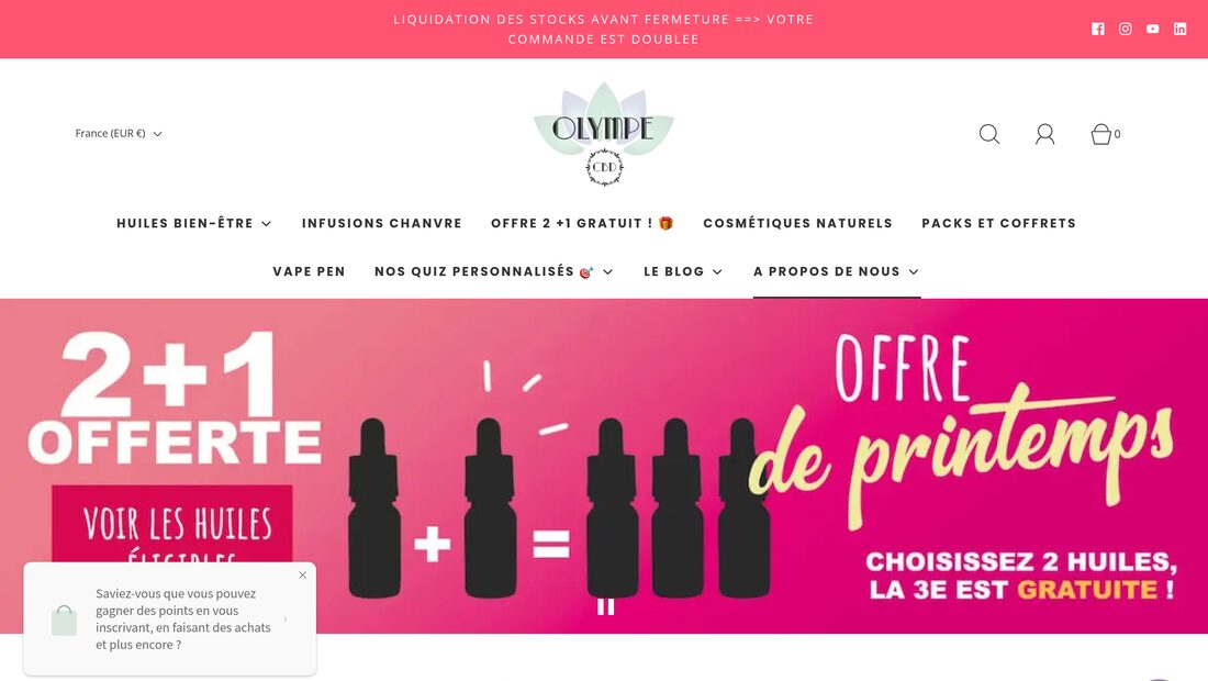 Aperçu du site Olympe CBD
