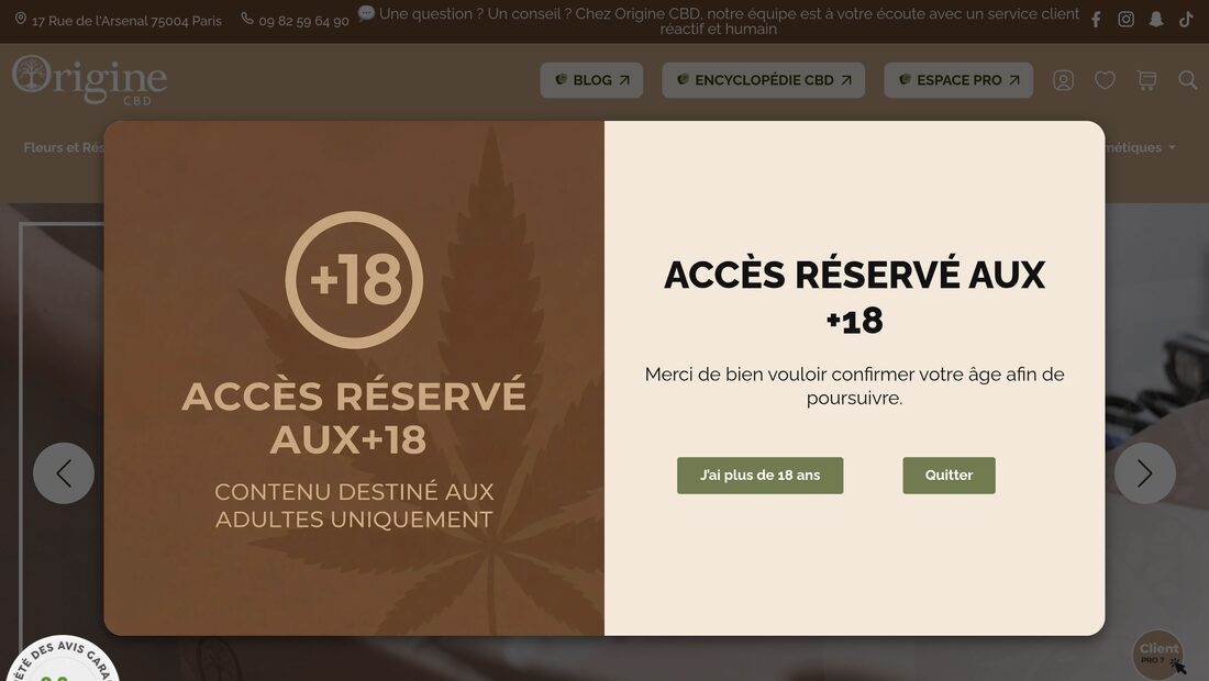 Aperçu du site Origine CBD