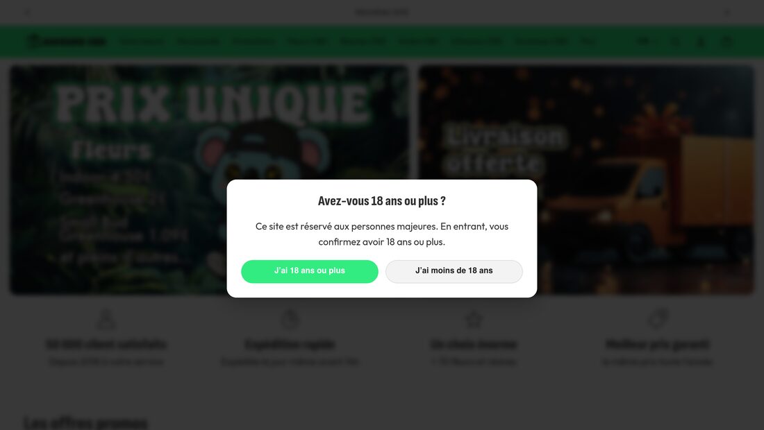 Aperçu du site Saveurs CBD