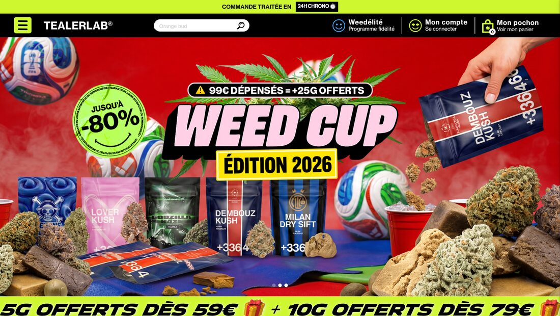 Aperçu du site TealerLab