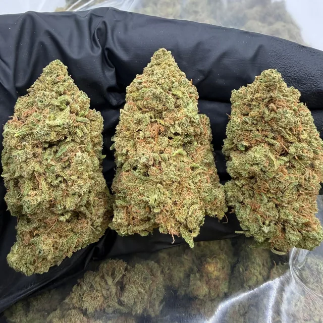 CBD Monkey