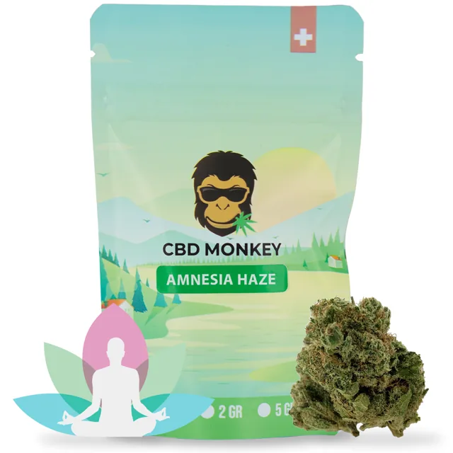 CBD Monkey