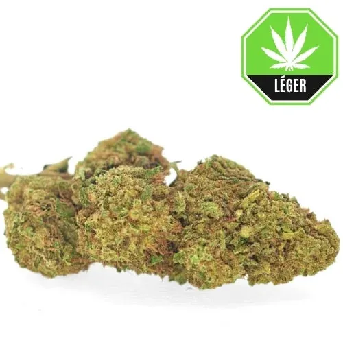 Banana Kush CBD
