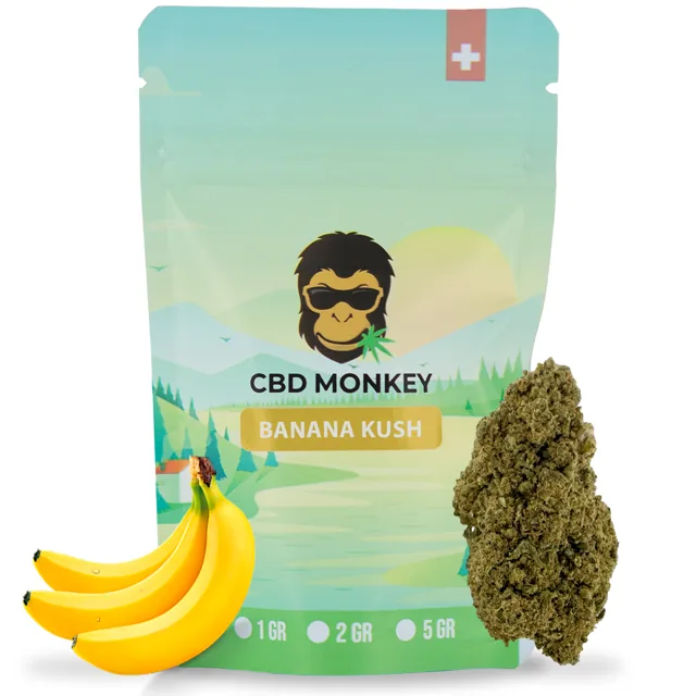 CBD Monkey