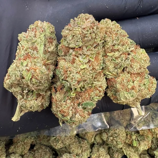 CBD Monkey
