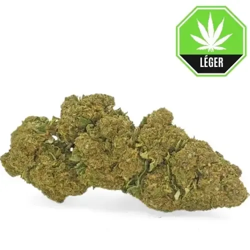 Amsterdam Quality