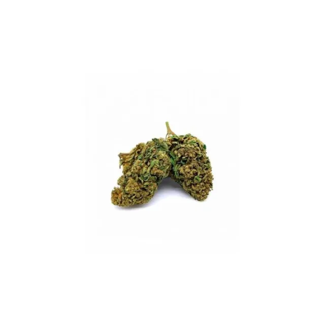CBD Discounter