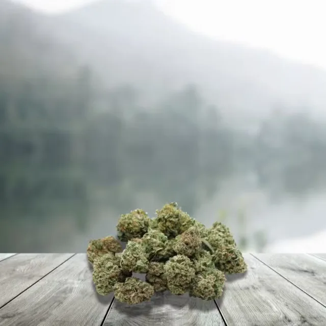Lord Of CBD