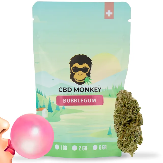 CBD Monkey