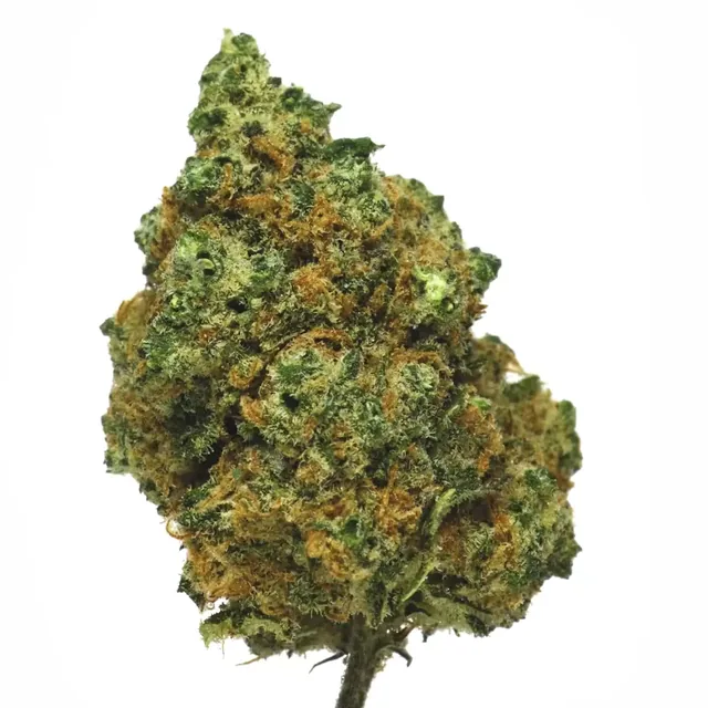 GreenVertus