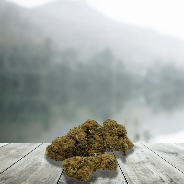 Lord Of CBD