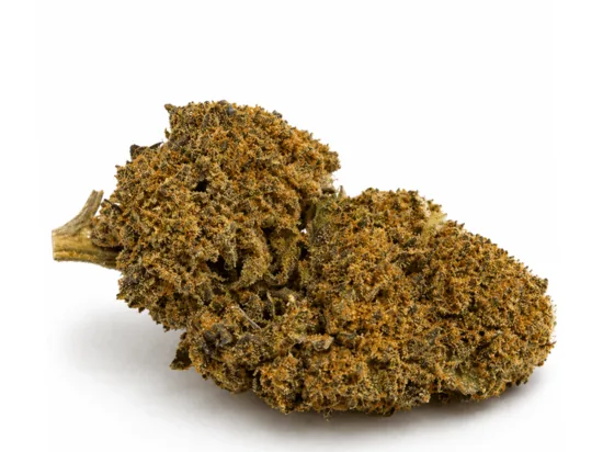 GreenOwl