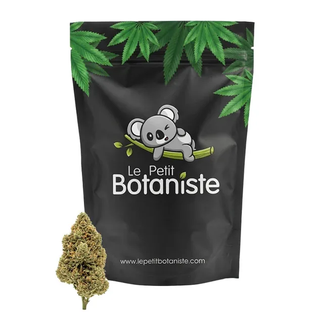 Le Petit Botaniste