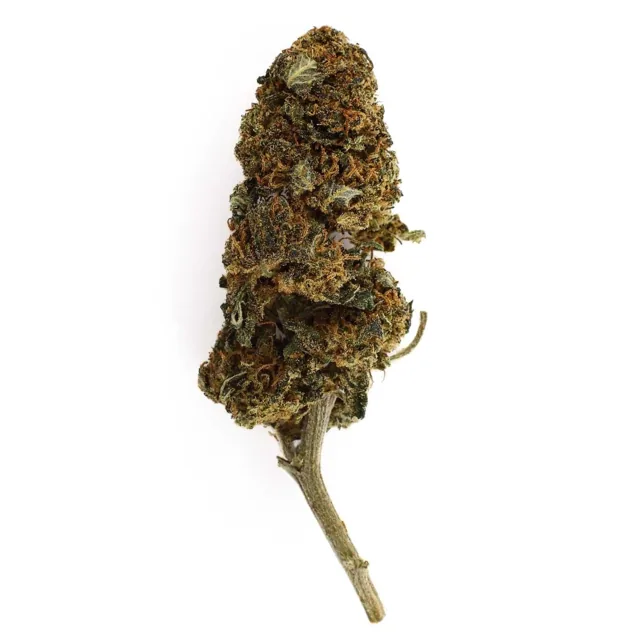 321CBD