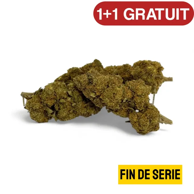 CBD'eau