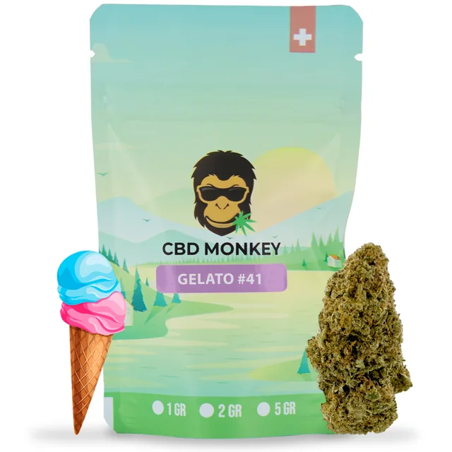 CBD Monkey