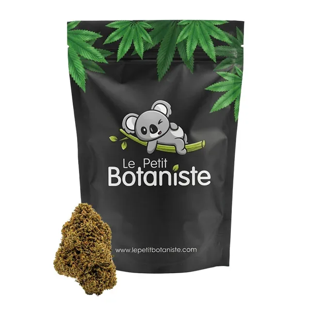 Le Petit Botaniste
