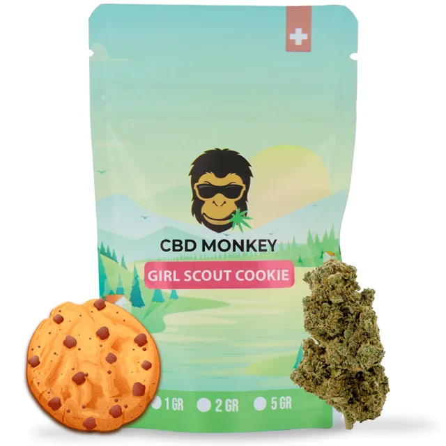 CBD Monkey
