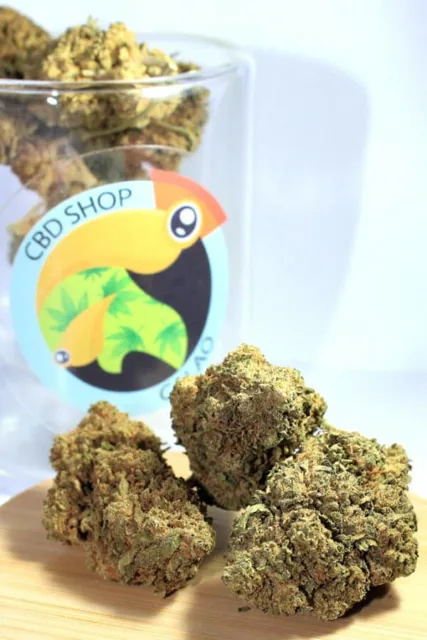 CBD Shop Calao