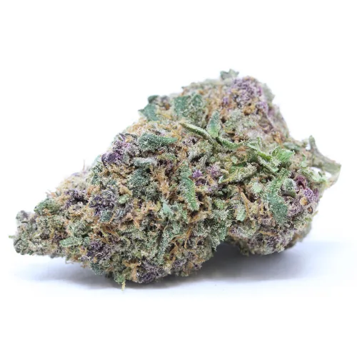 Harlequin CBD