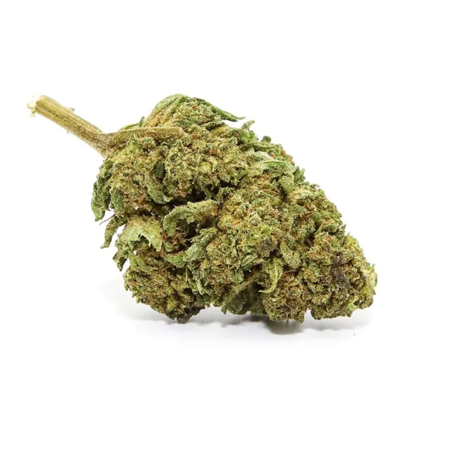 Jack Herer CBD