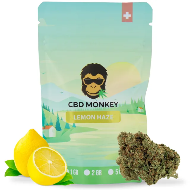 CBD Monkey