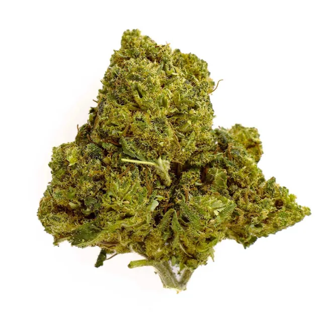 Mimosa CBD