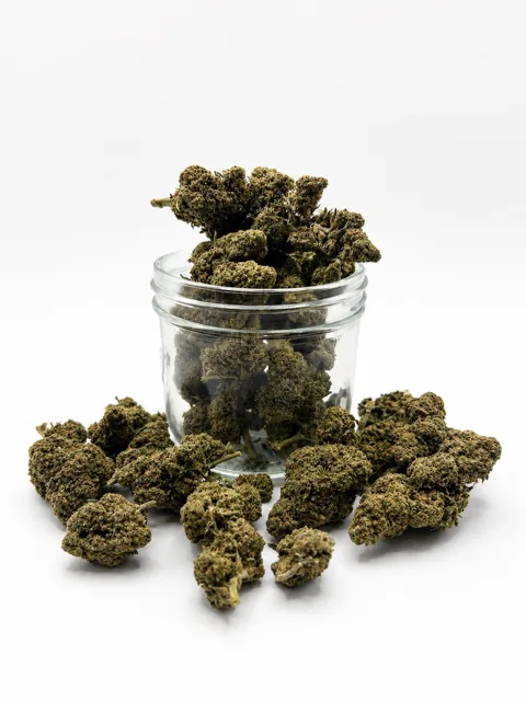 Human CBD