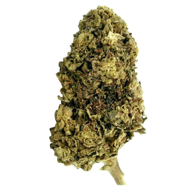 Magic CBD