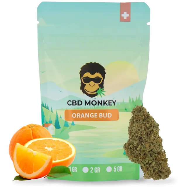 CBD Monkey