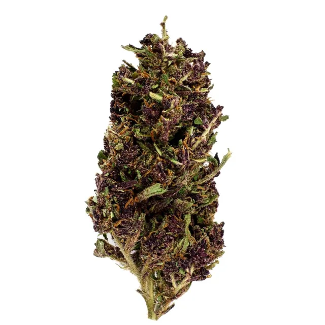 321CBD