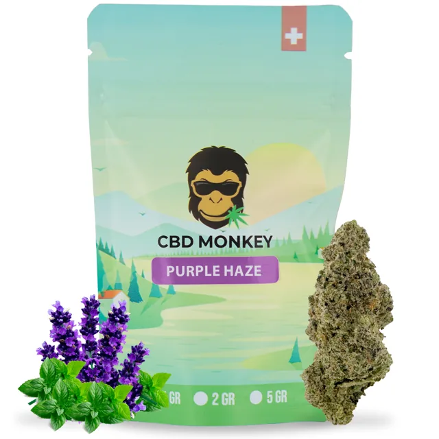 CBD Monkey