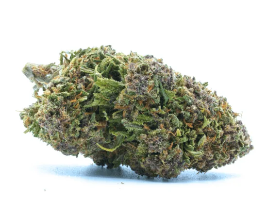 GreenOwl