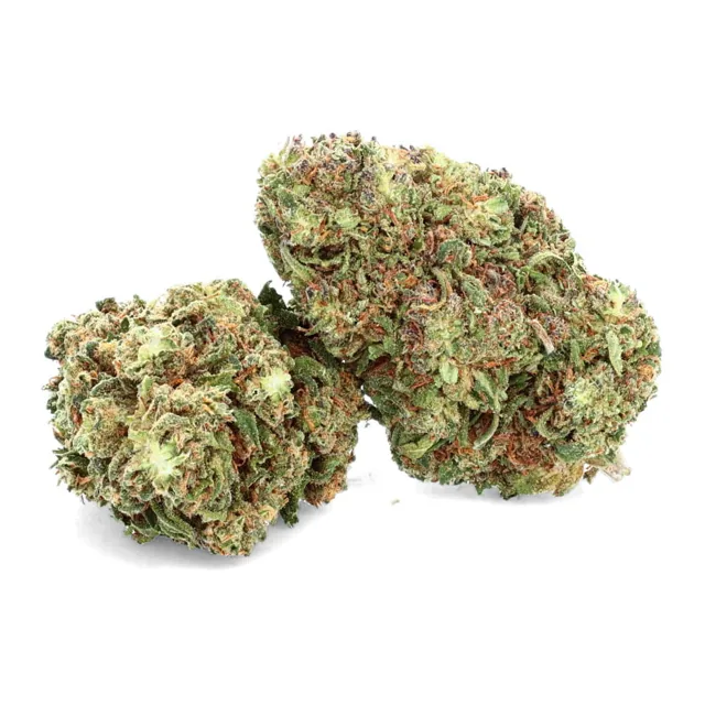 Royal Cheese CBD