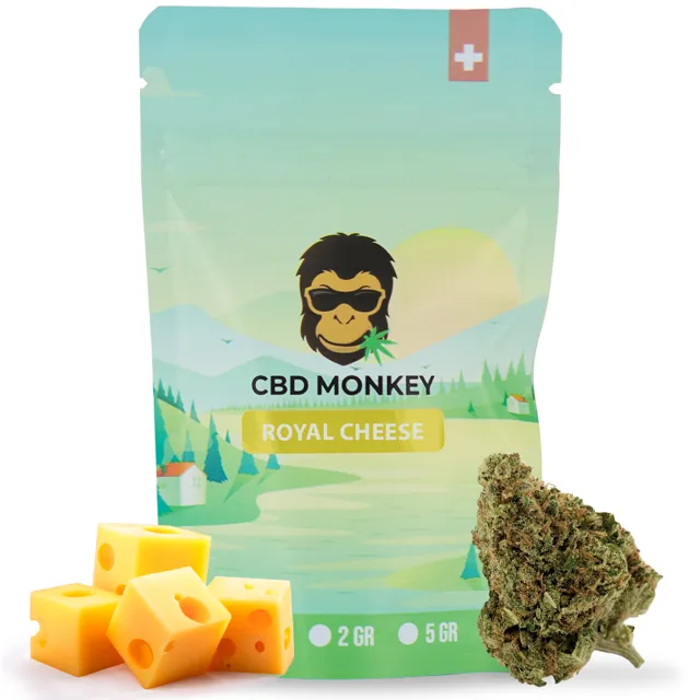 CBD Monkey