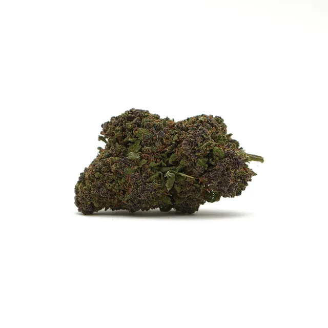CBDSol