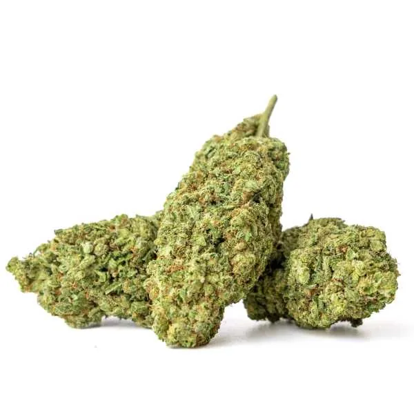 GreenVertus