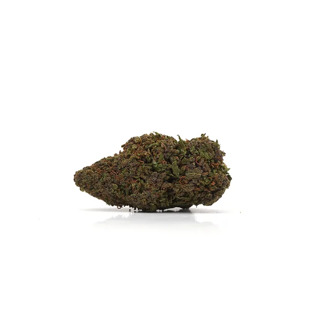 CBDSol