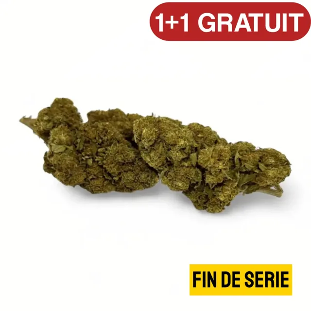 CBD'eau
