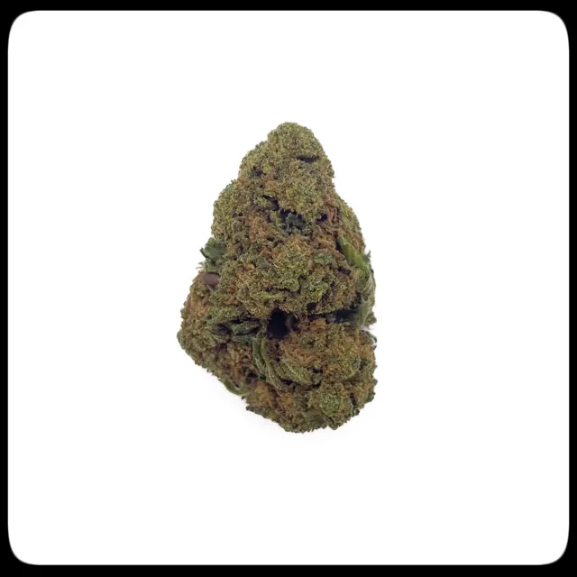 SAN CBD