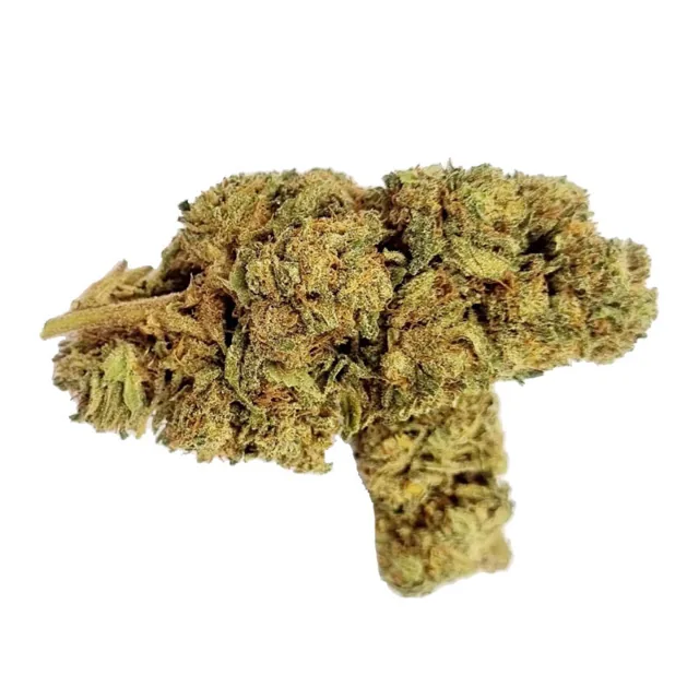 CBD Discounter