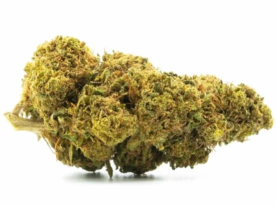 GreenOwl